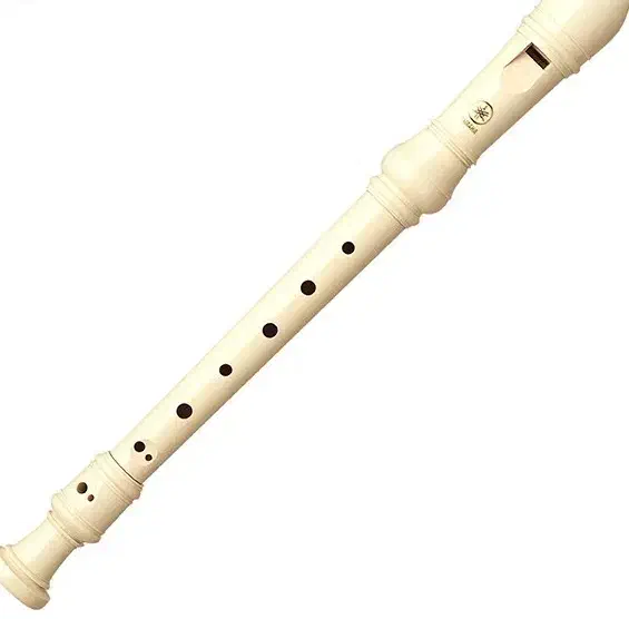 فلوت آموزشی یاماها|سازهای بادی|نیشابور, میدون بار|دیوار