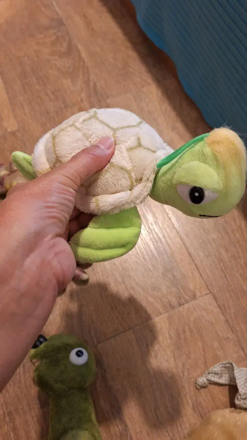 عروسکهای پولیشی|اسباب‌بازی بچه|بابلسر, |دیوار