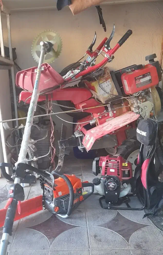 هرس کردن درختان|خدمات باغبانی و درختکاری|شازند, |دیوار