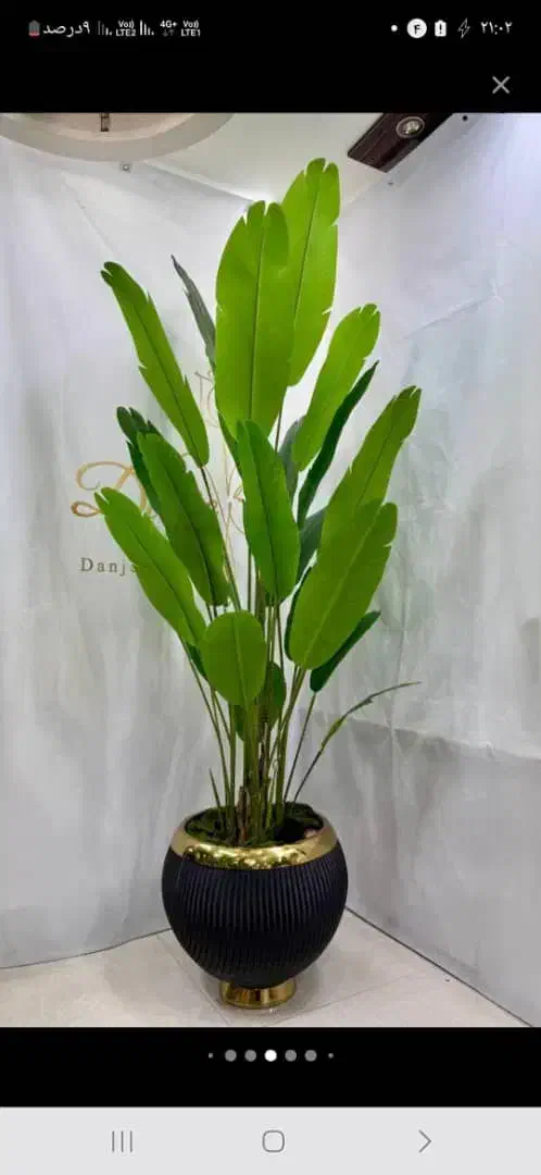 درختچه مصنوعی|گل مصنوعی|اهواز, گلستان|دیوار