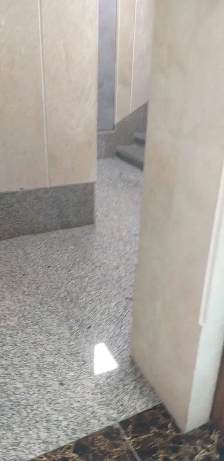 زمینمسکونی|فروش زمین و ملک کلنگی|اهرم, |دیوار