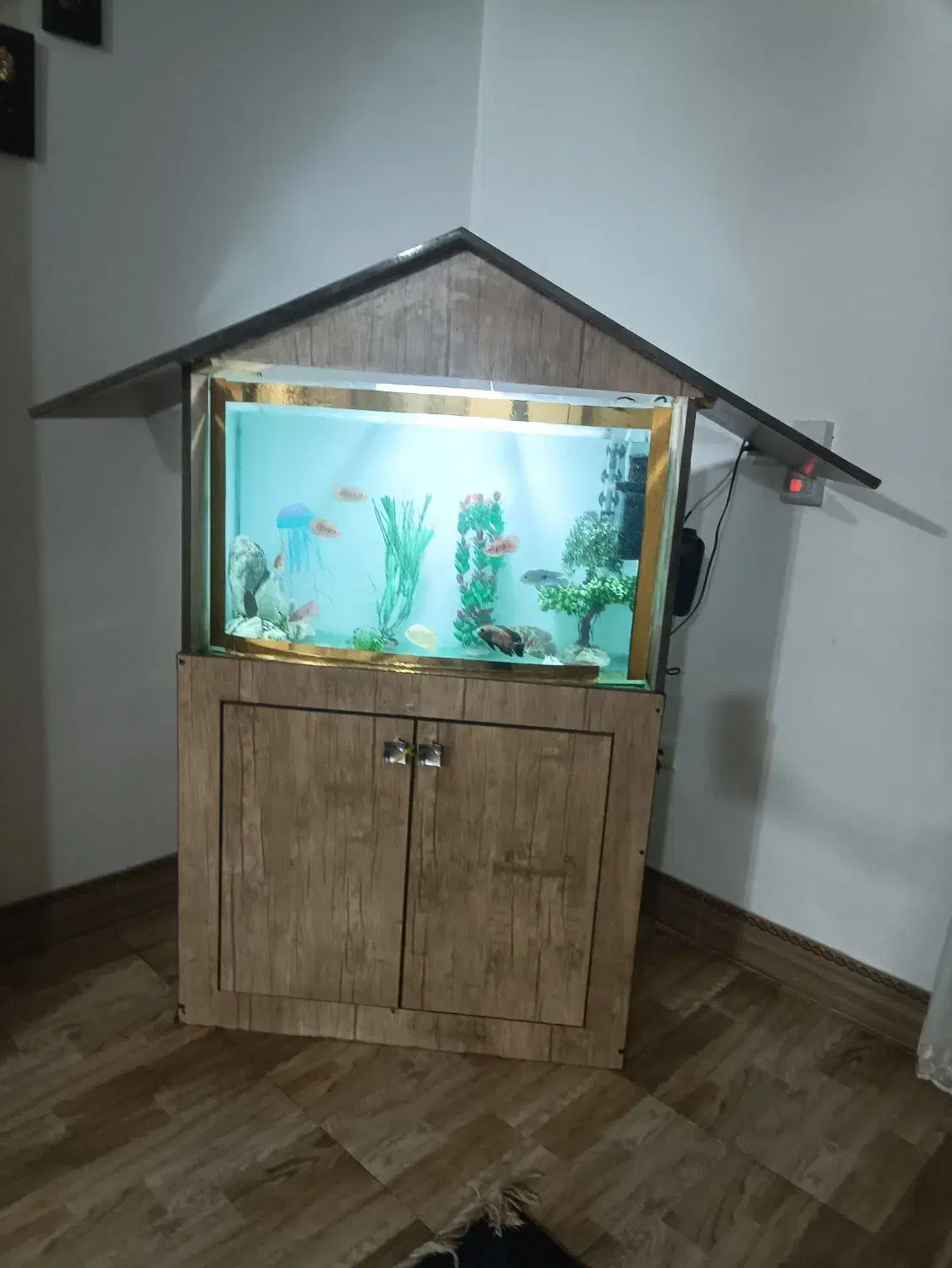 اکواریوم تمیز و سالم بخاطر کمبود جا|ماهی|ابریشم, |دیوار