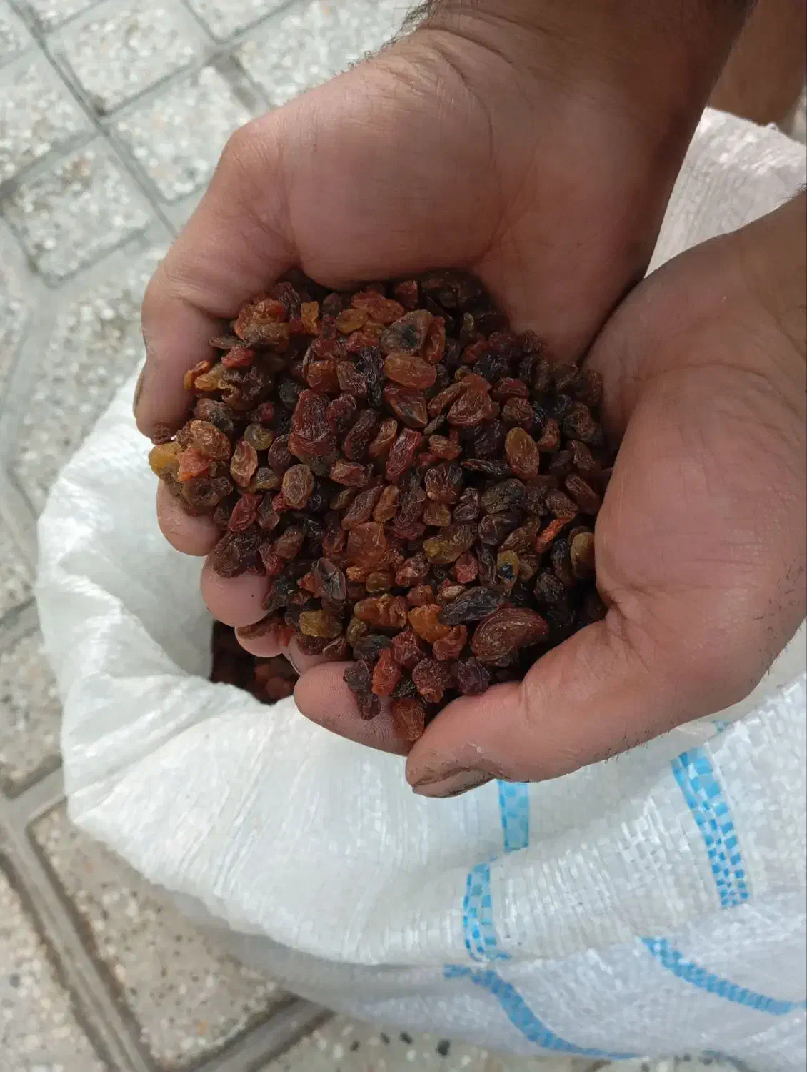 کشمش بش|خوردنی و آشامیدنی|شیراز, دباغ خانه|دیوار