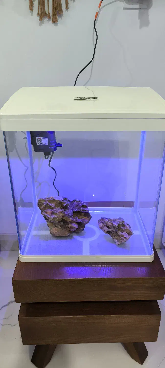 آکواریوم دلسا مدل k390|ماهی|کرج, ساسانی (قلمستان)|دیوار