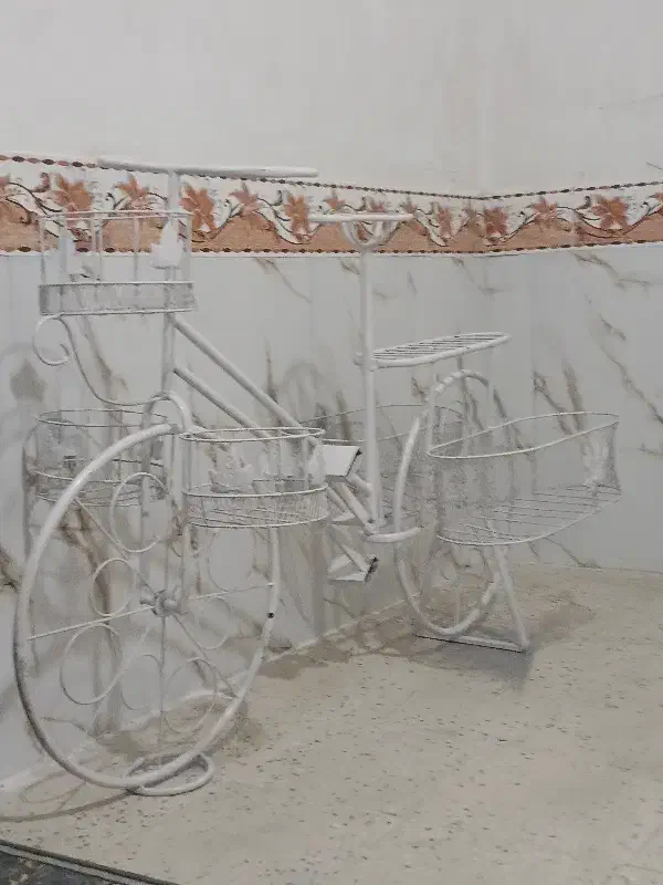 استندگل|گل و گیاه طبیعی|پاکدشت, حصار امیر|دیوار