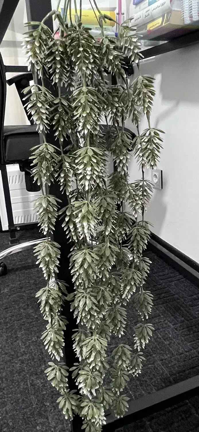 ریسه های گیاه مصنوعی مخصوص دیزاین تراس و اشپزخونه|گل و گیاه طبیعی|فردیس, فرامرزیه|دیوار