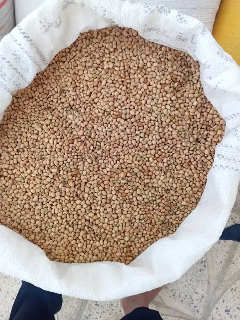 لوبیا|خوردنی و آشامیدنی|دره شهر, |دیوار