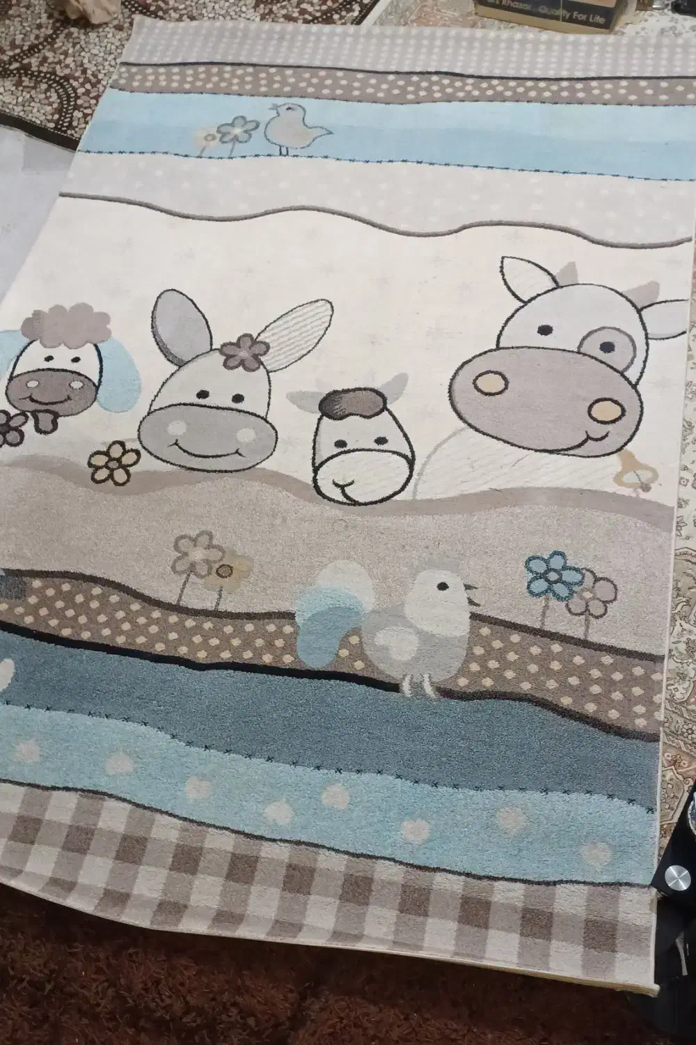 گلیم فرش ۶متری|فرش|شیراز, رکنآباد|دیوار