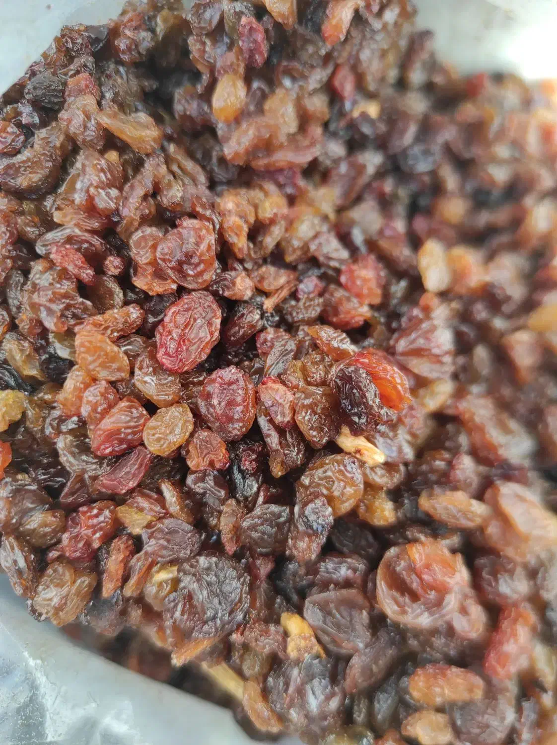 کشمش آفتابی بیدانه|خوردنی و آشامیدنی|بجنورد, |دیوار