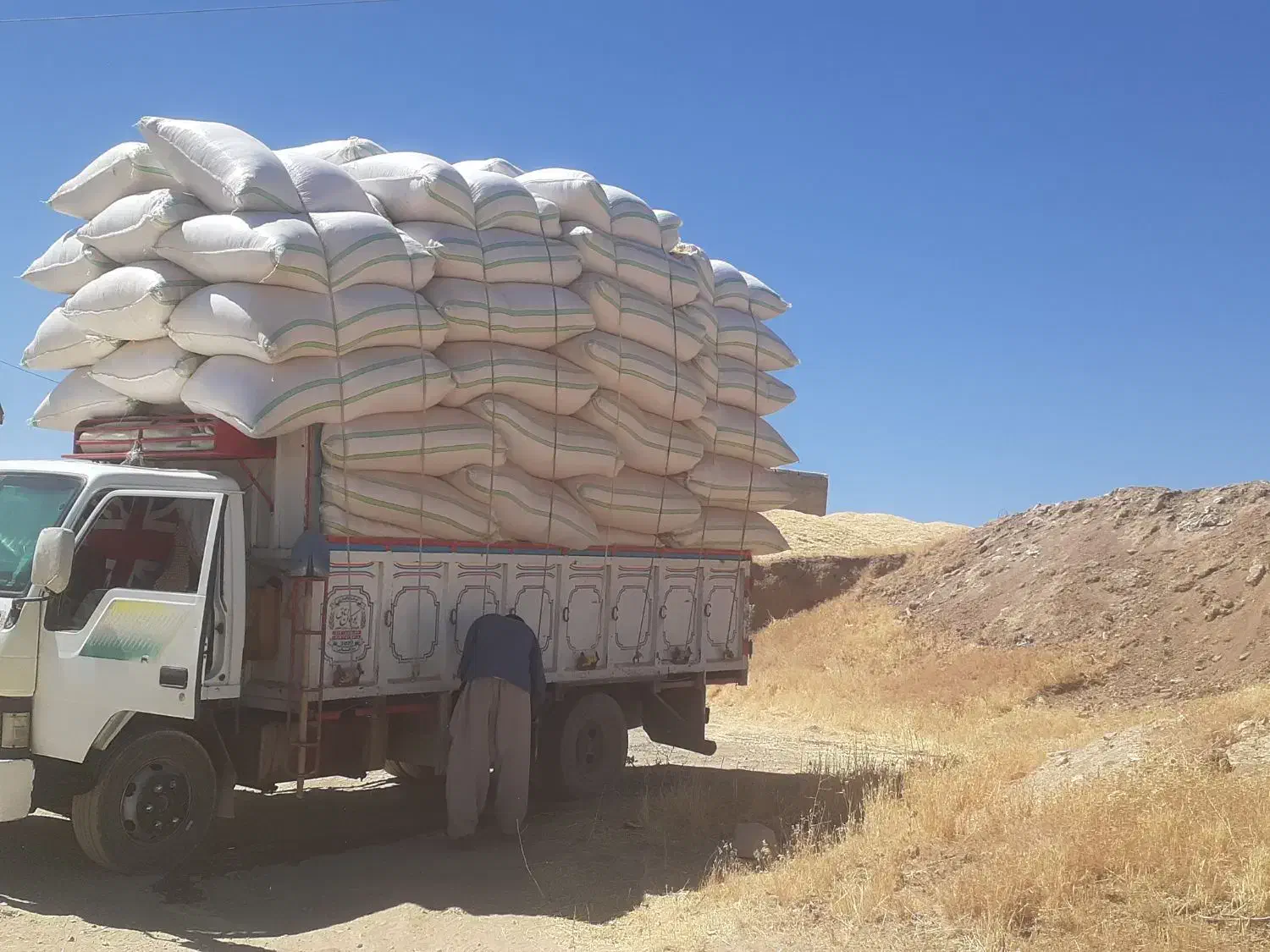 فروش کاه دیم کردستان|خدمات باغبانی و درختکاری|اصفهان, آبشار|دیوار