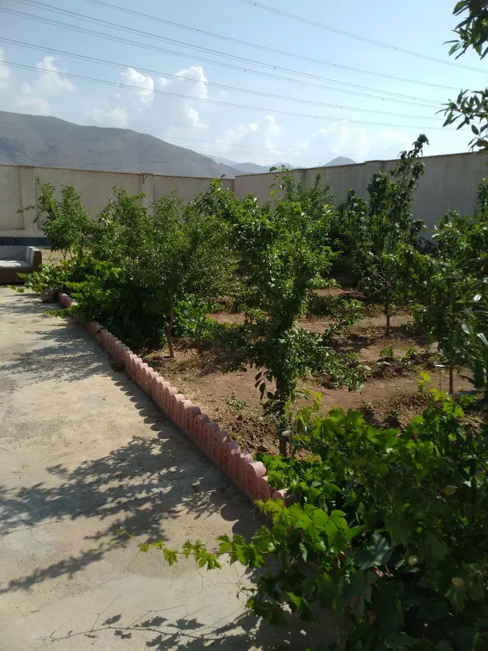 باغچه چهار دیواری|فروش زمین و ملک کلنگی|هشتگرد, فشند|دیوار