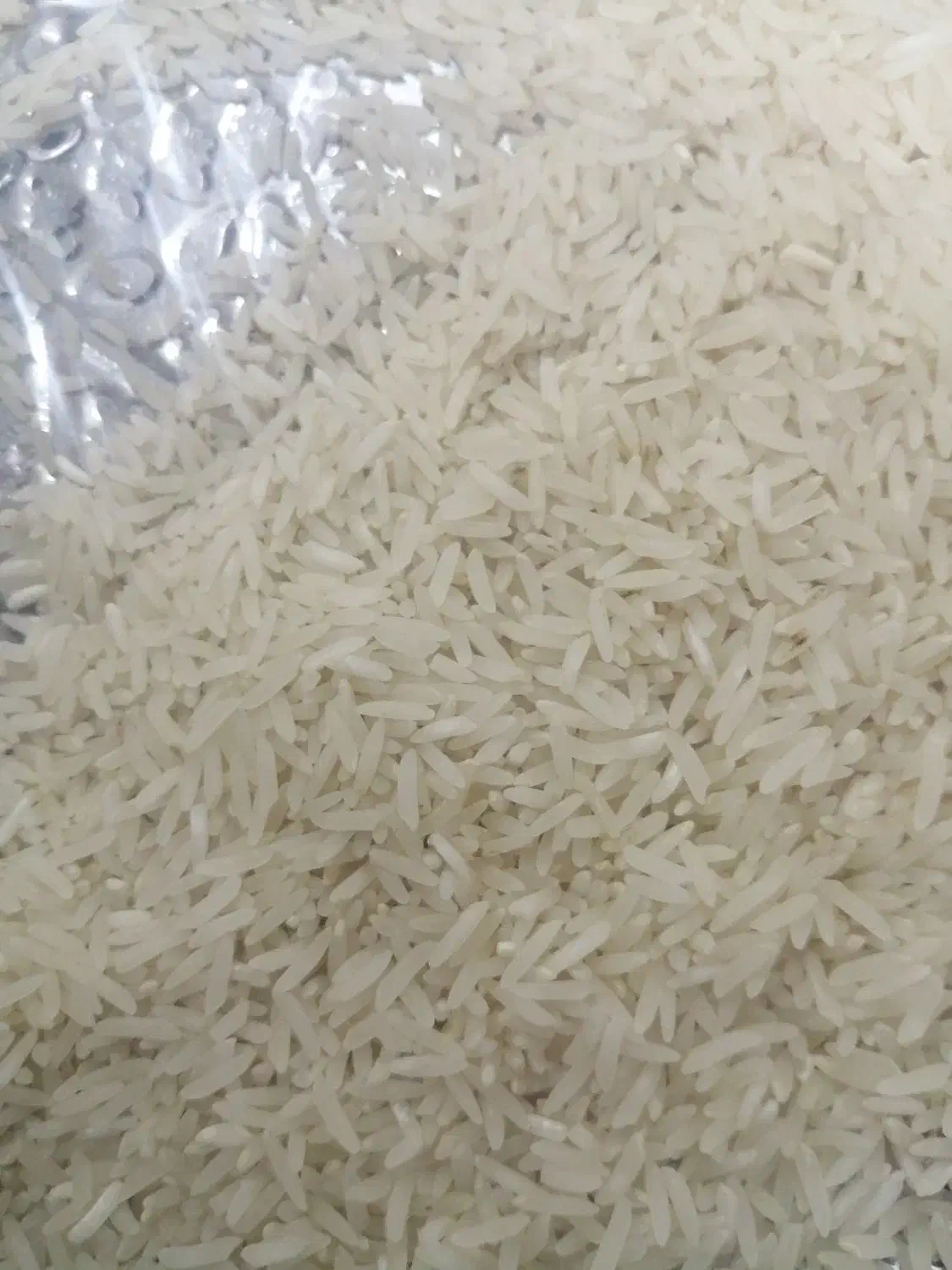 برنج فجرسوزنی درجه یک.تمام بوجار|خوردنی و آشامیدنی|رامیان, |دیوار