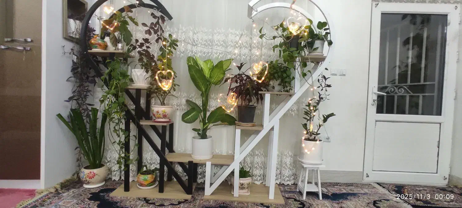 استند فلزی و چوبی ایستاده|کتابخانه، شلف، قفسه‌های دیواری|شاهرود, |دیوار