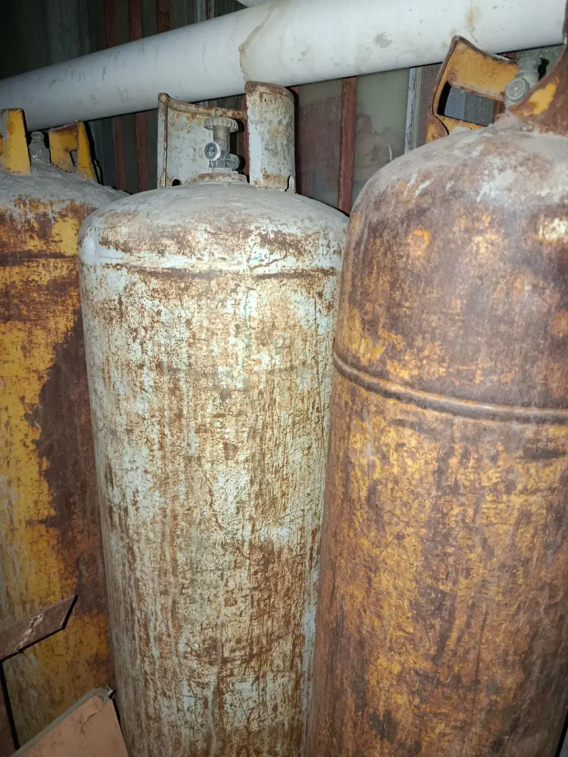 اشپزی|اجاق گاز و لوازم برقی پختوپز|زابل, |دیوار