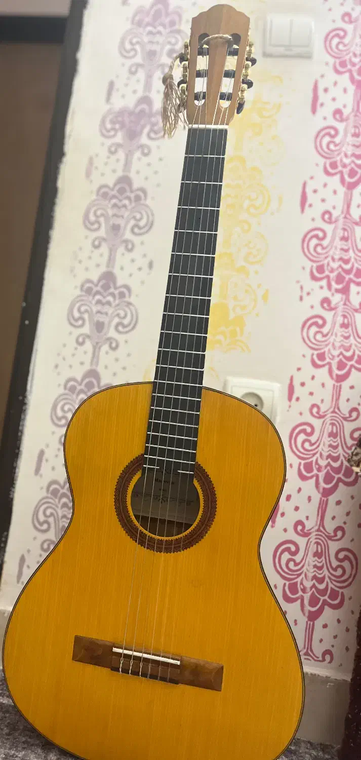 گیتار کلاسیک|گیتار، بیس، امپلیفایر|بروجرد, |دیوار