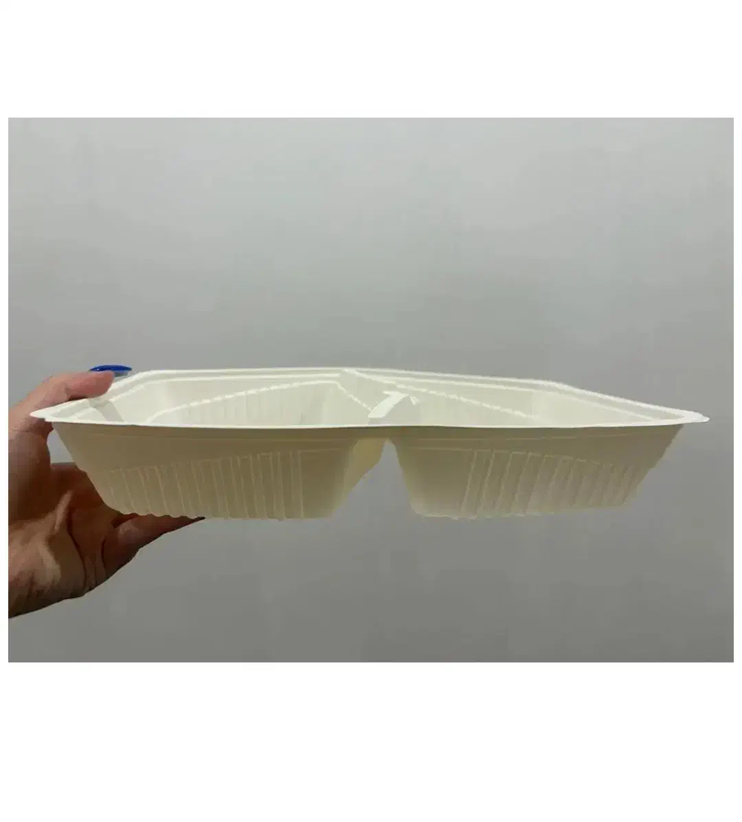 تعدادی زیادی ظرف غذا یک بار مصرف گیاهی پلمپ|ظروف نگهدارنده، پلاستیکی، یک‌بارمصرف|اراک, |دیوار