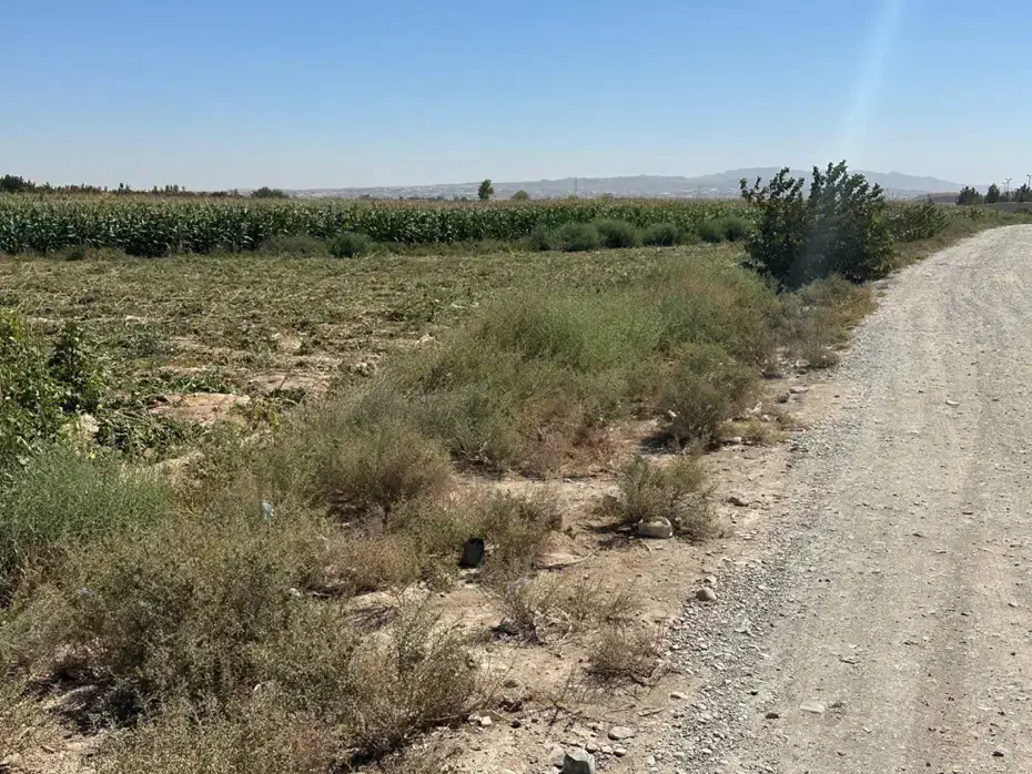 زمین ۱۸۲۲ متری با قابلیت ساخت شهرستانک رباط کریم|فروش زمین و ملک کلنگی|رباط‌کریم, شهرستانک|دیوار