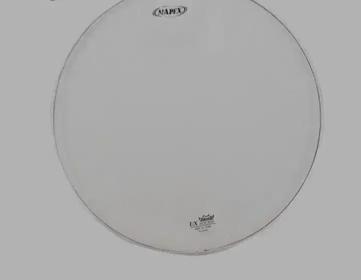 پوست Mapex|درام و پرکاشن|قم, نوبهار|دیوار