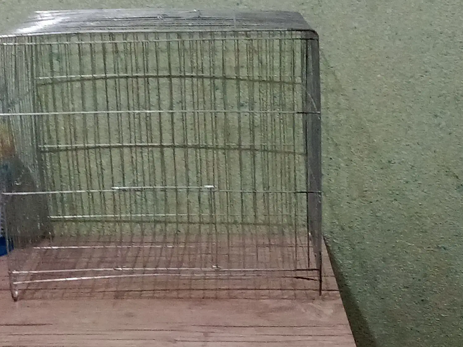 قفس|لوازم جانبی حیوانات|دزفول, |دیوار