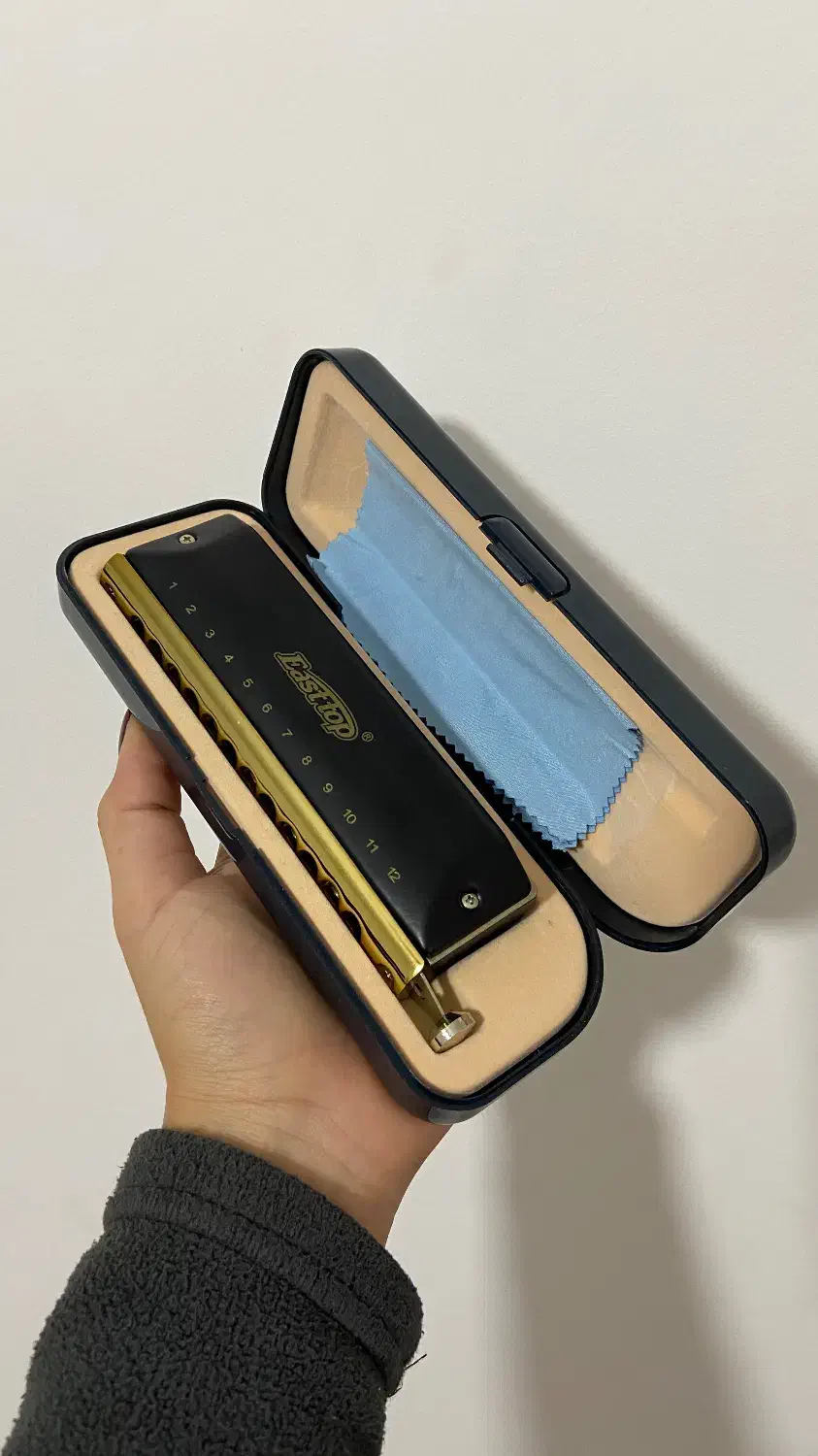 ساز دهنی (هارمونیکا)|سازهای بادی|گرگان, |دیوار