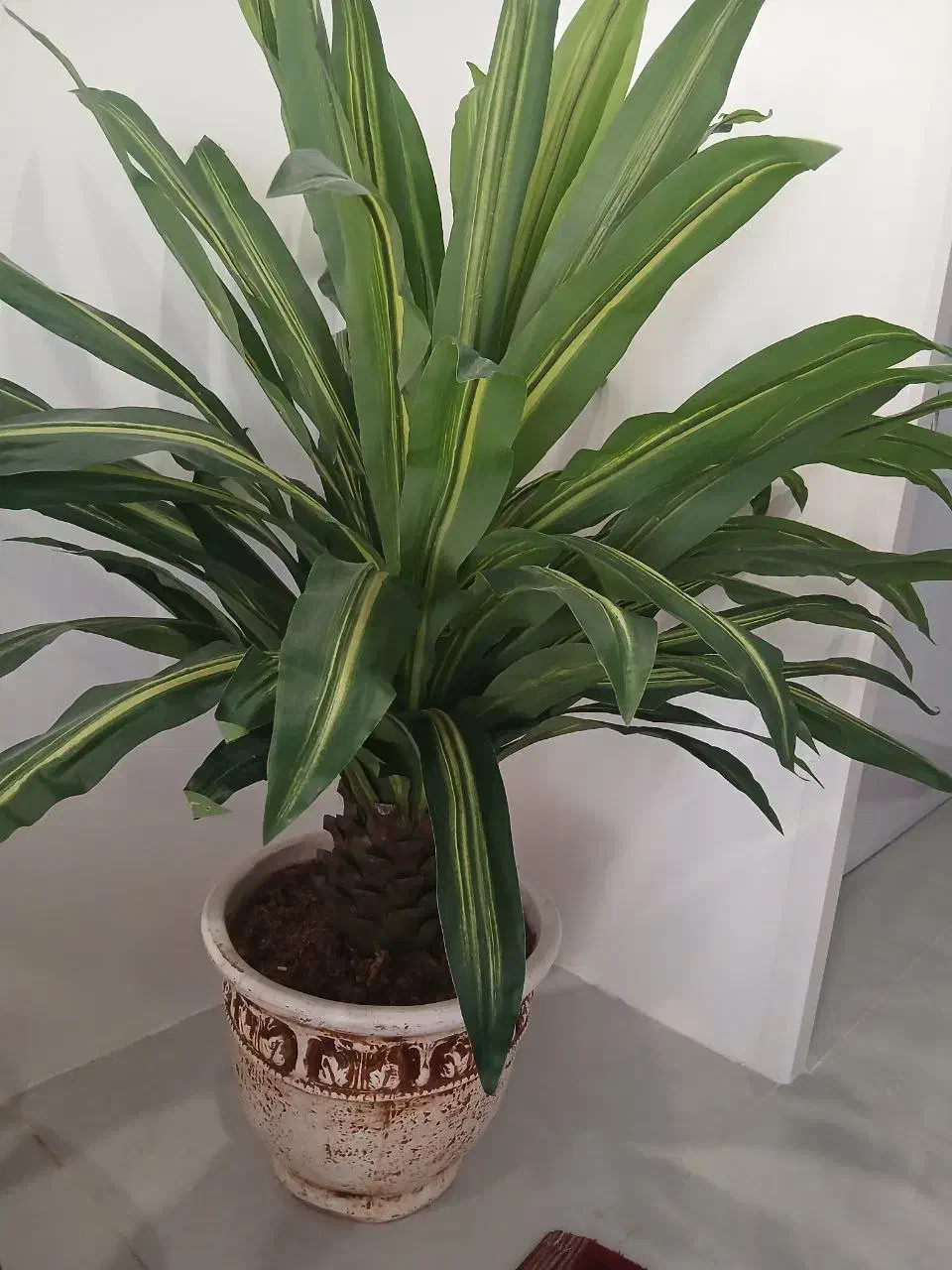 گل تزئینی|گل مصنوعی|مشهد, آزادشهر|دیوار