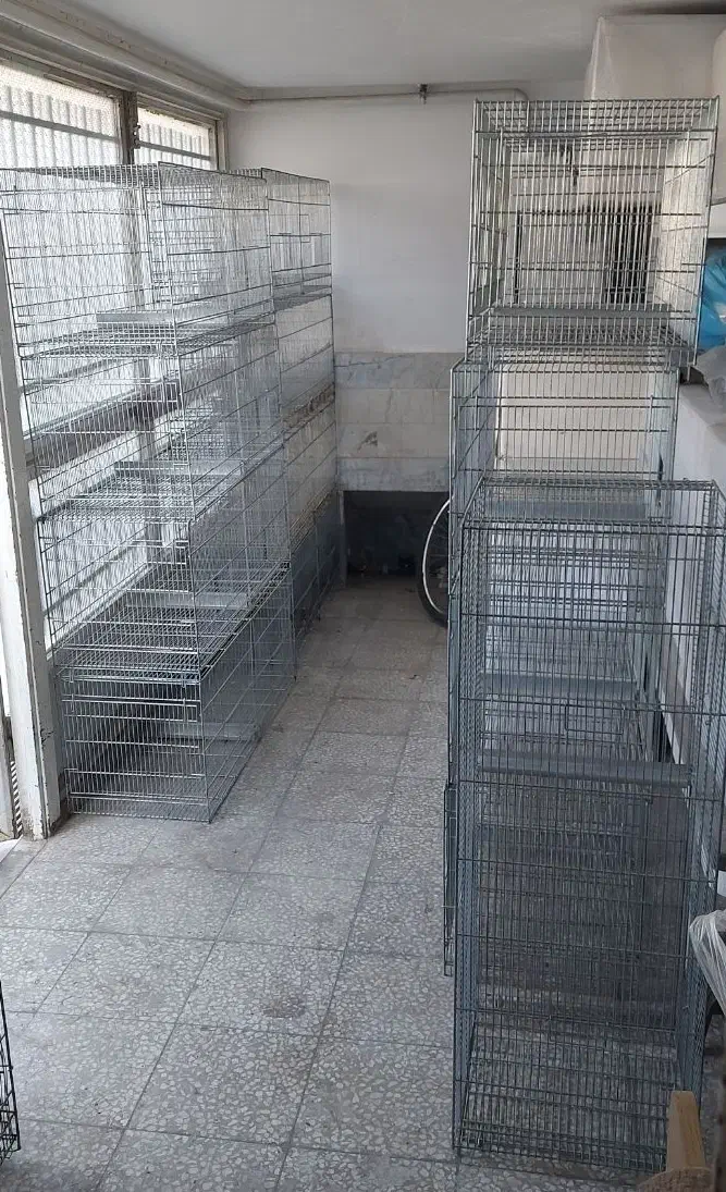 پژاوند بدون پایه  از قم|لوازم جانبی حیوانات|آفتاب, |دیوار