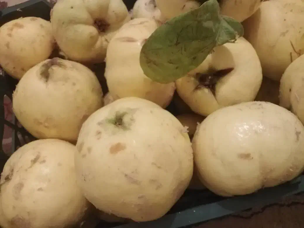 به زرد رسیده خوشمزه وگوجه ترش وخوشمزه محلی|خوردنی و آشامیدنی|لنده, |دیوار