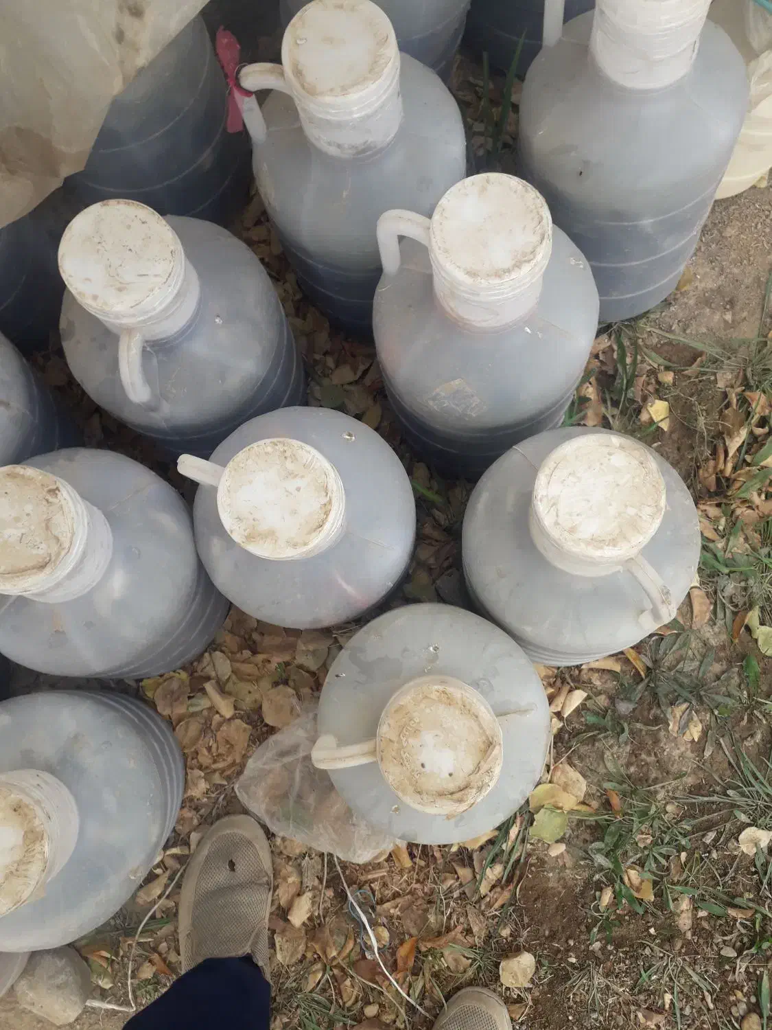 خیارشور|خوردنی و آشامیدنی|شیروان (خراسان), |دیوار