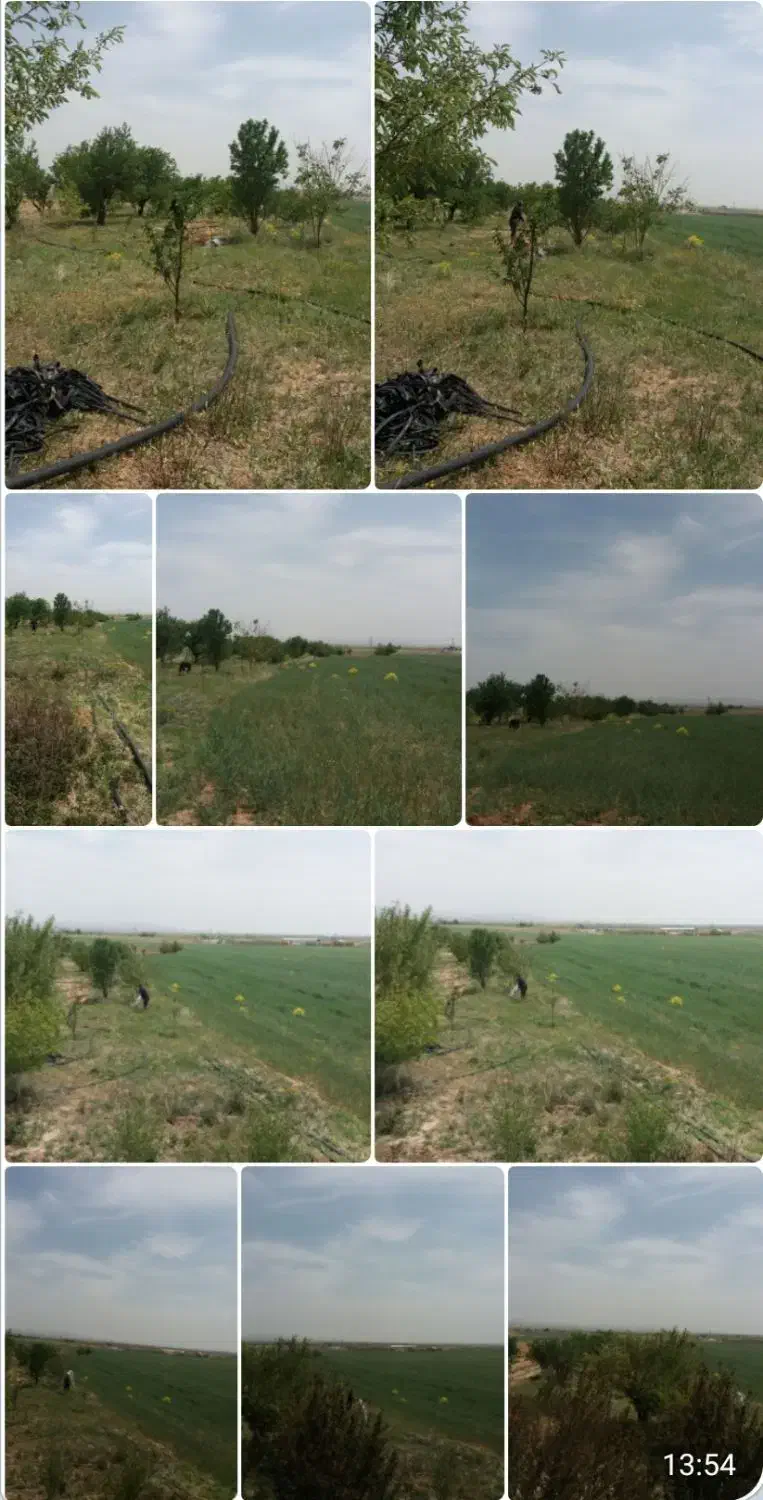 زمین کشاورزی|فروش زمین و ملک کلنگی|صالح آباد, |دیوار