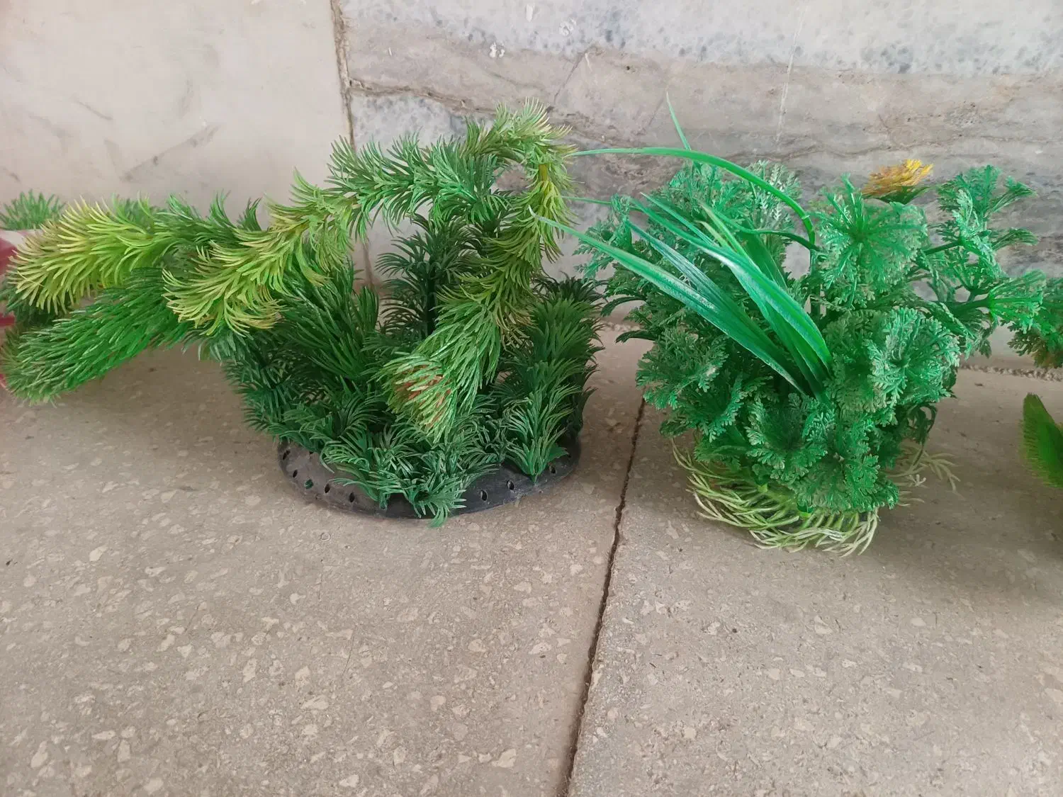 وسایل آکواریوم|ماهی|قزوین, |دیوار