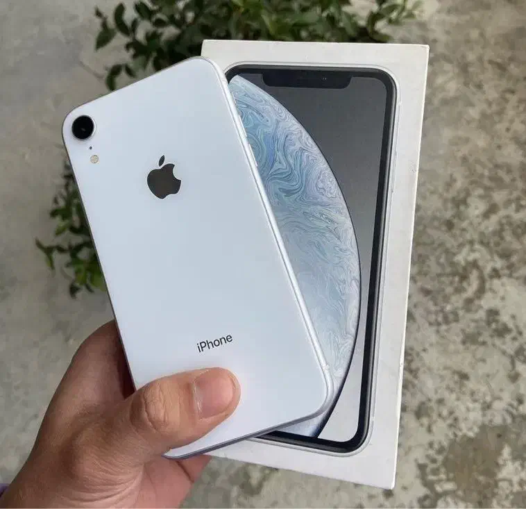 Iphone XR 128 GB (دو سیم) در حد نو|موبایل|رشت, گلسار|دیوار