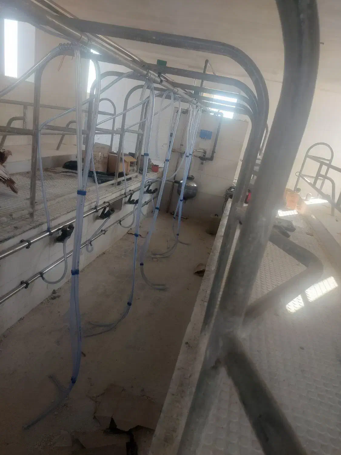 شیردوش گاو صنعتی|ماشین‌آلات صنعتی|اصفهان, شهرک صنعتی امیرکبیر (شاپور جدید)|دیوار