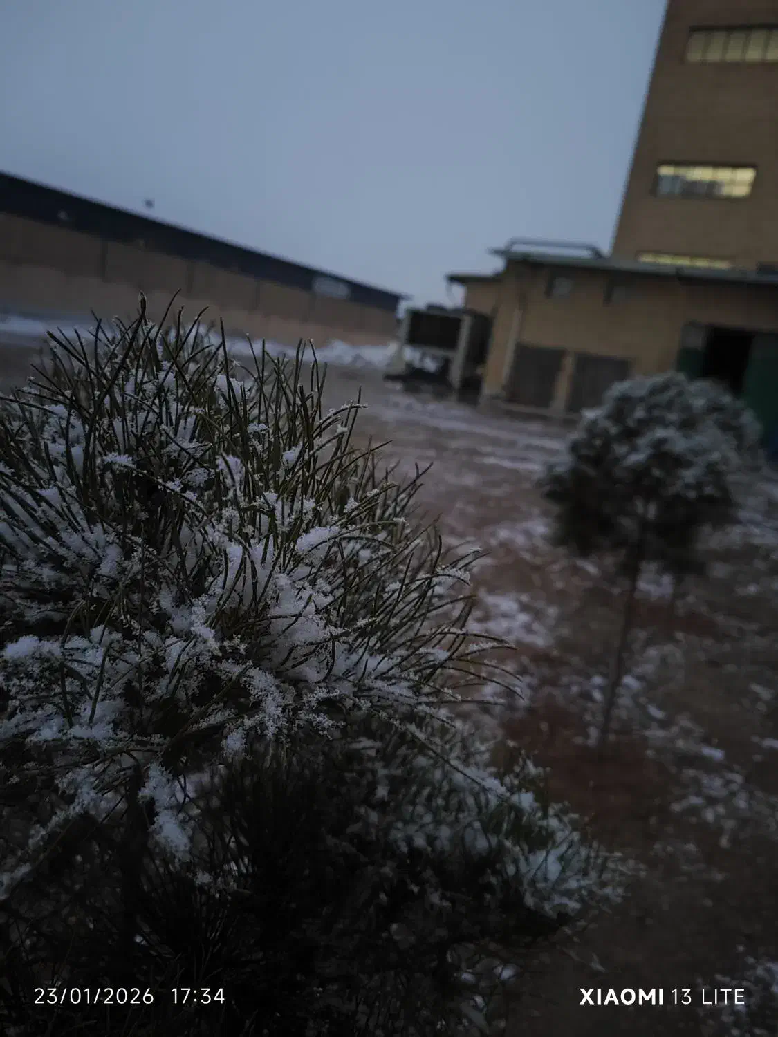 مدارک گم شده|اشیا|ایوانکی, |دیوار