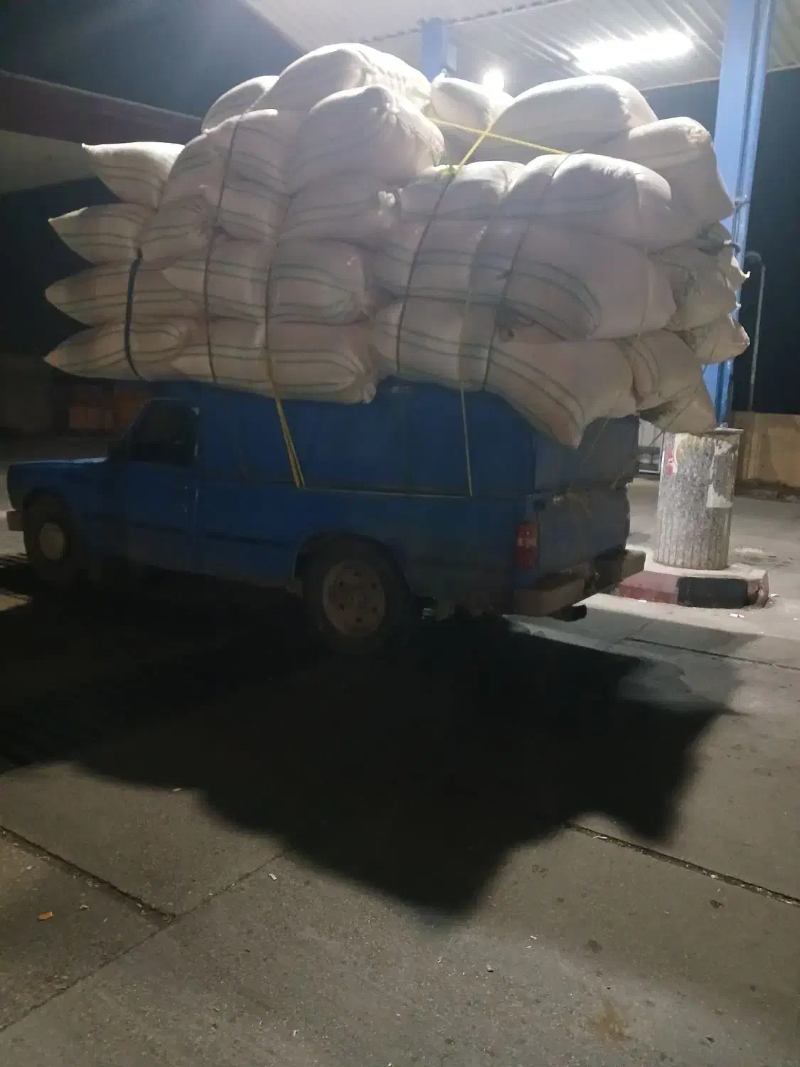 کاه گندم دیم کردستان|حیوانات مزرعه|بابل, |دیوار