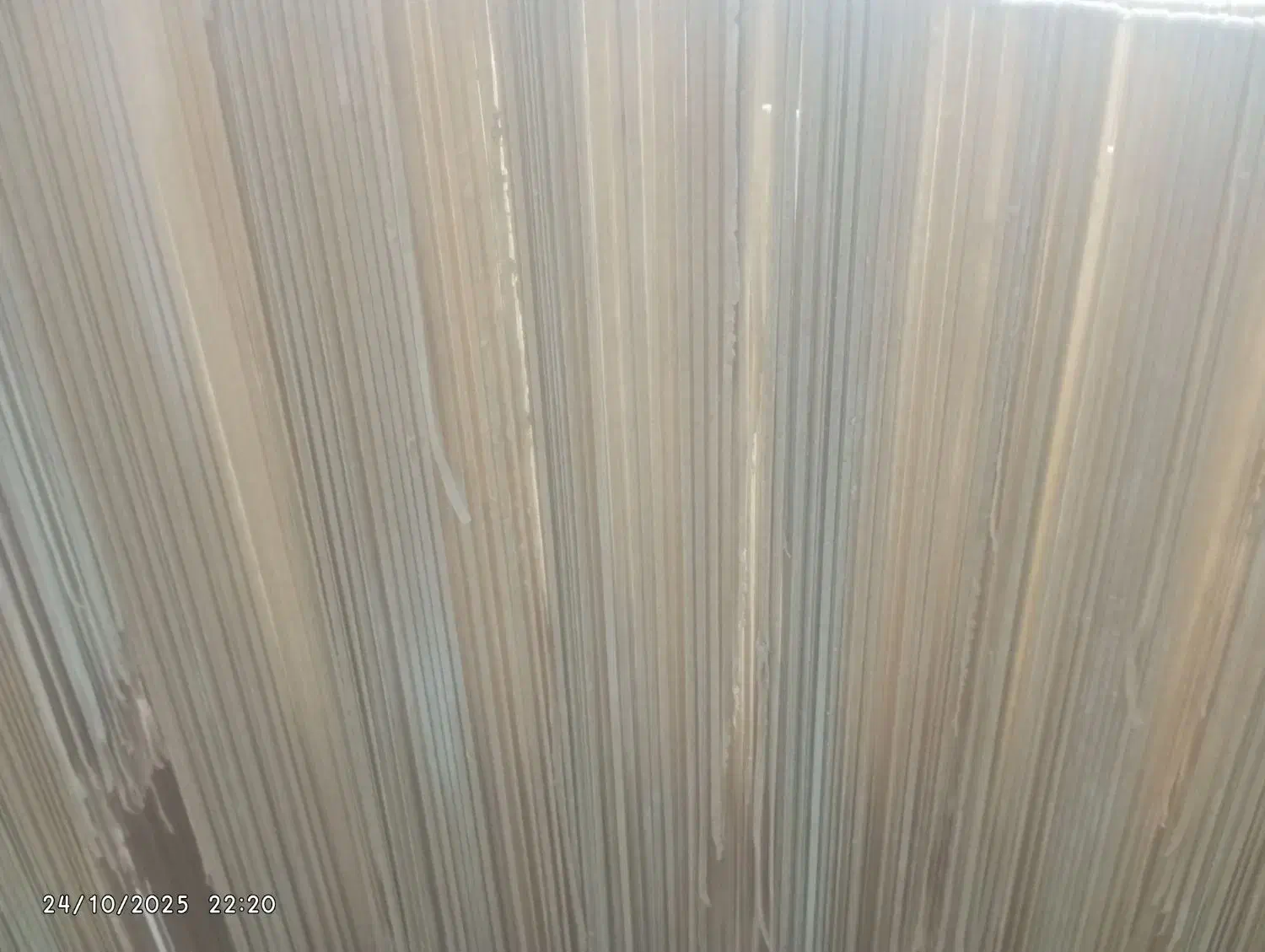 رشته پلویی وآشی|خوردنی و آشامیدنی|هامون, |دیوار