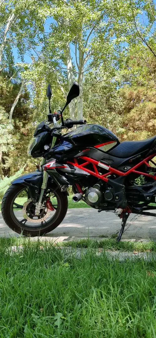 بنلی ۱۵۰ نیوفیس|موتورسیکلت|اصفهان, باغ گلها|دیوار