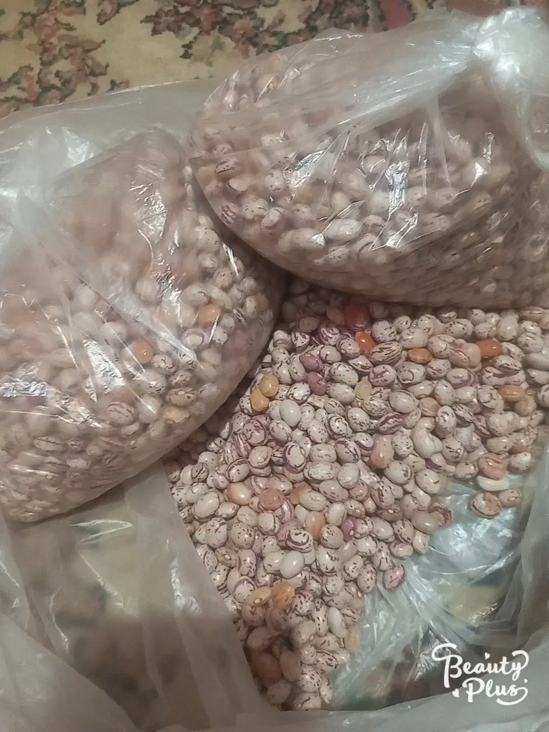 لوبیا درجه یک طبیعی.|خوردنی و آشامیدنی|یاسوج, |دیوار