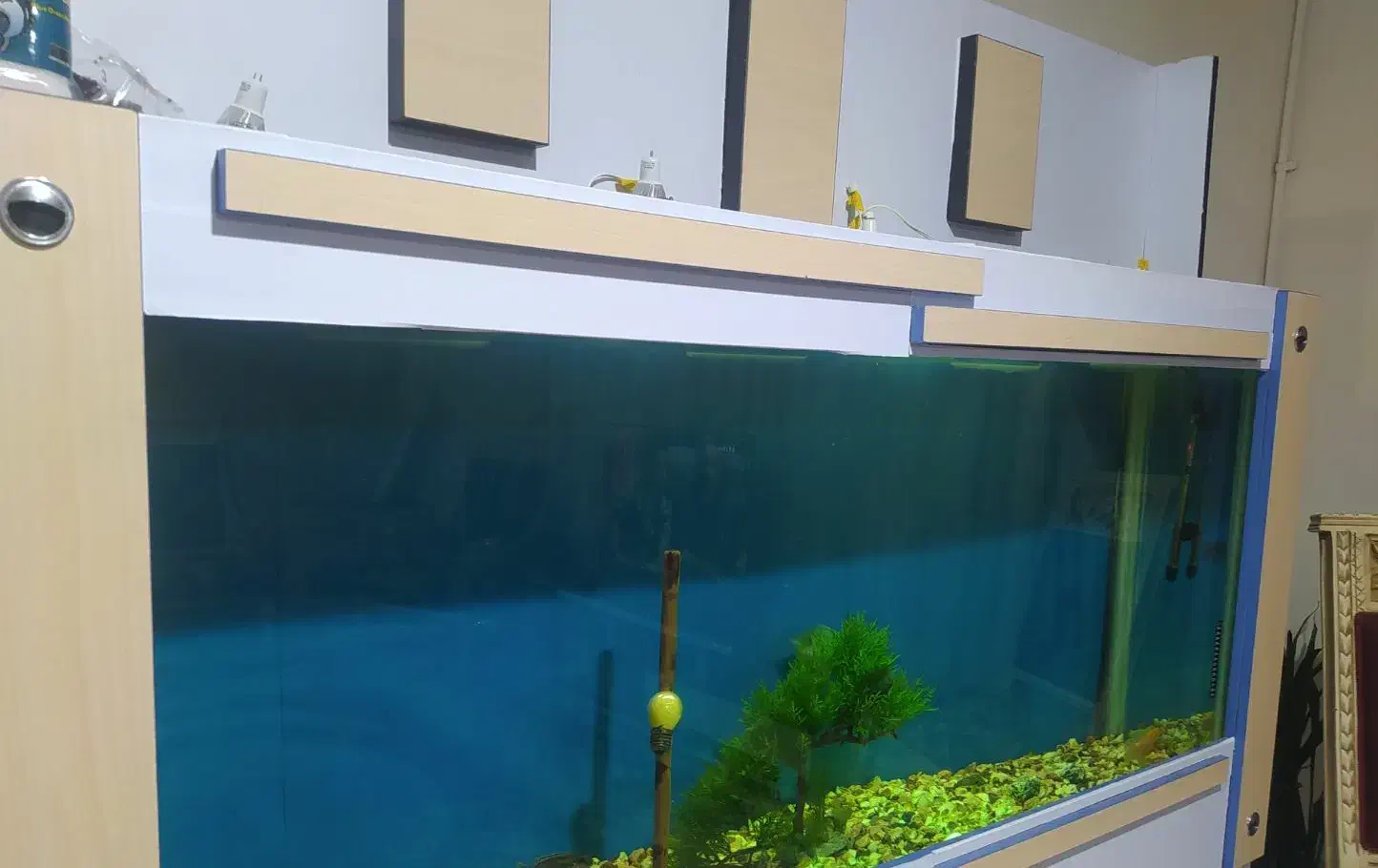 اکواریوم بزرگ با شیشه 10میل|ماهی|قوچان, |دیوار