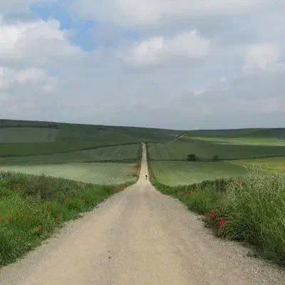 دوچرخه ۲۴|دوچرخه، اسکیت، اسکوتر|شوشتر, |دیوار