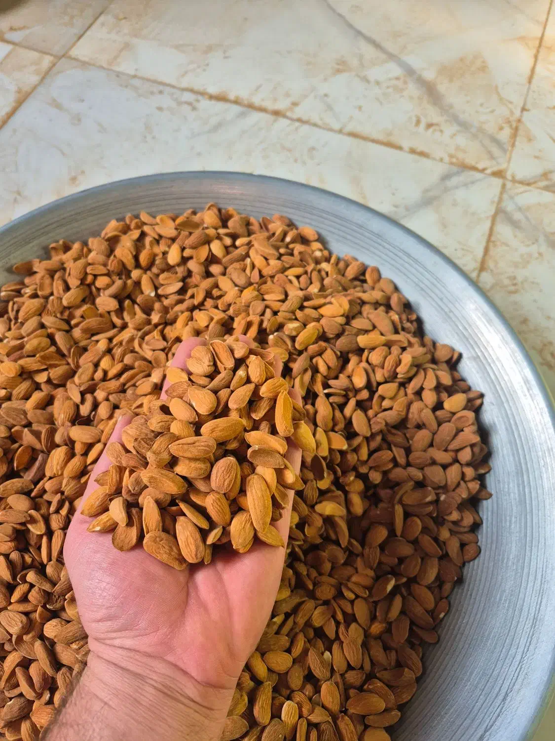 فروش بادام|عمدهفروشی|بن, |دیوار