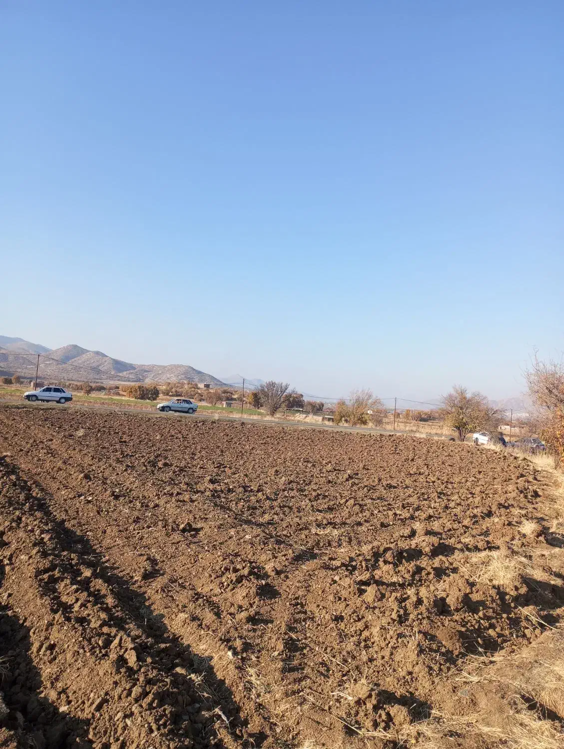 ۱۰۰۰متر مربع زمین کشاورزی کال|فروش زمین و ملک کلنگی|مریوان, |دیوار