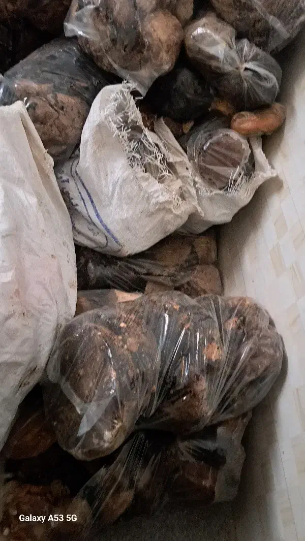 قرقروت|خوردنی و آشامیدنی|مشهد, کوشش|دیوار