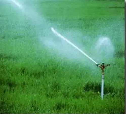 فروش یک قطعه زمین کشاورزی|فروش دفتر صنعتی، کشاورزی، تجاری|ماهیدشت, |دیوار