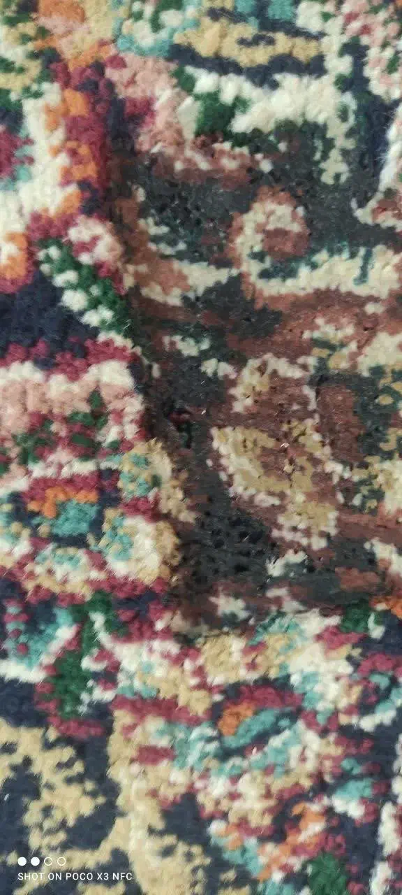 فرش ۹متری|فرش|مشهد, عبادی|دیوار