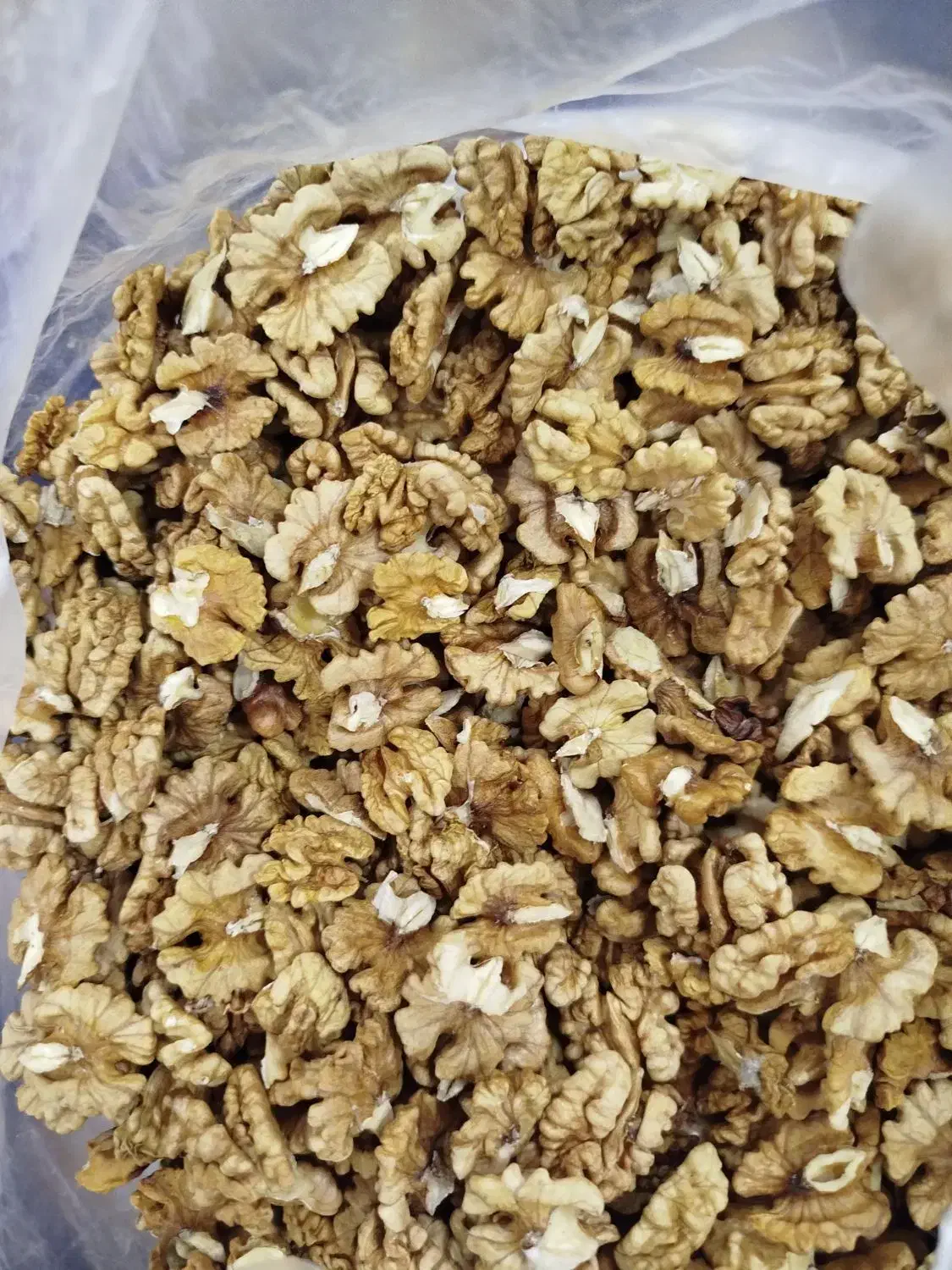 مغز گردو وگردو|خوردنی و آشامیدنی|کلاترزان, |دیوار