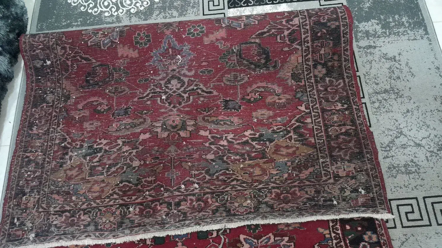 فرش تمام پشم دستبافت|فرش|شاهین‌شهر, حافظ شمالی|دیوار