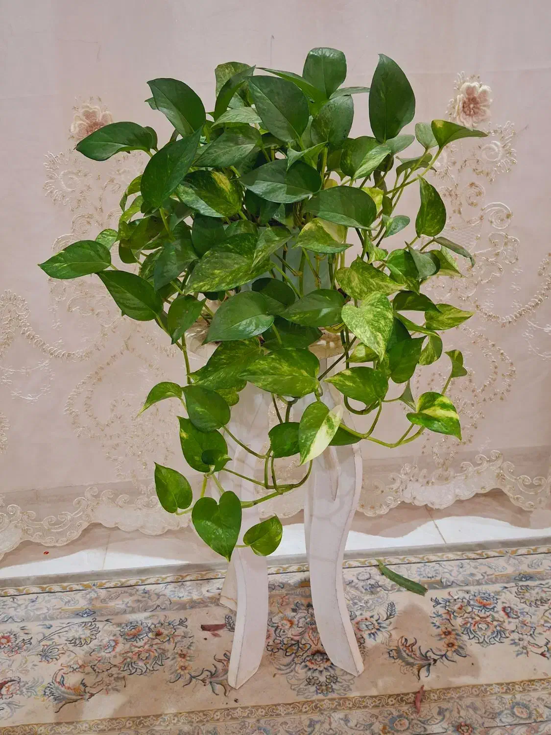 گل طبیعی|گل مصنوعی|نورآباد, |دیوار