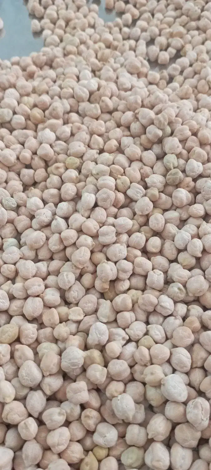 نخود درشت امسالی|خوردنی و آشامیدنی|تهران, جوادیه تهرانپارس|دیوار