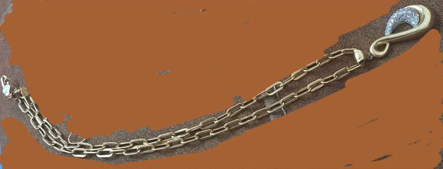 گمشده مدال زنجیر طلا  گمشده|جواهرات|اهر, |دیوار