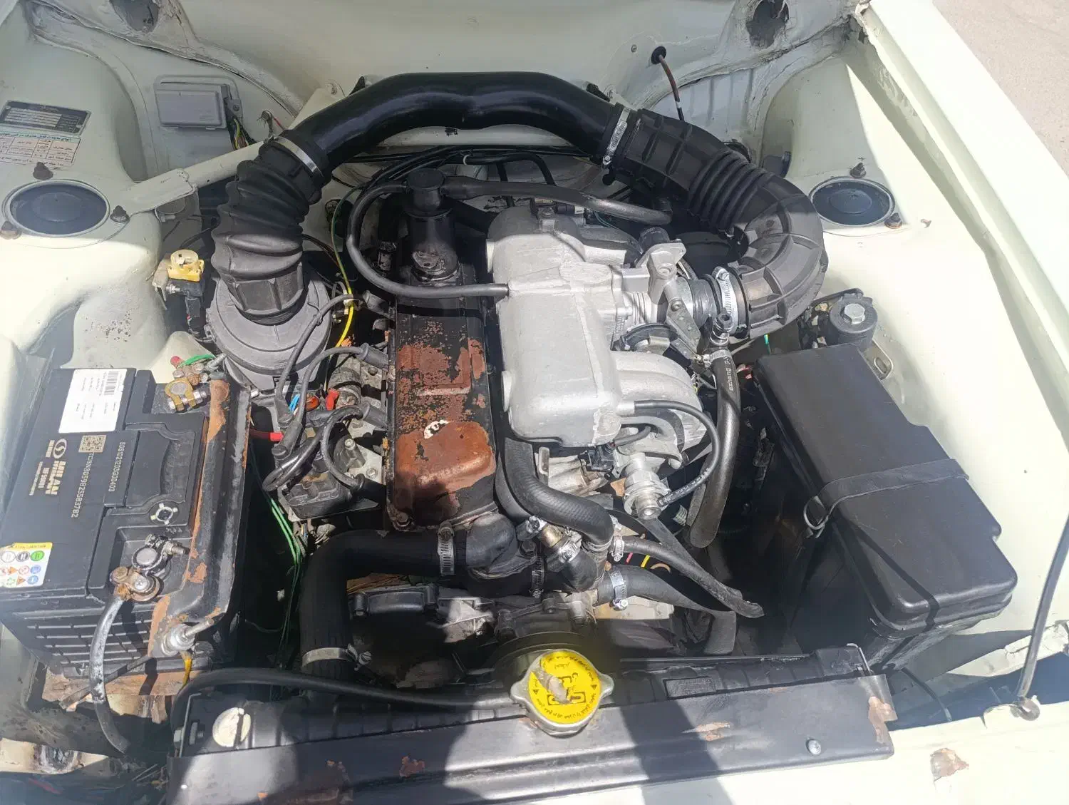 فروش یه دستگاه پیکان وانت مدل 84|خودرو سواری و وانت|شیراز, شیخ علی چوپان|دیوار